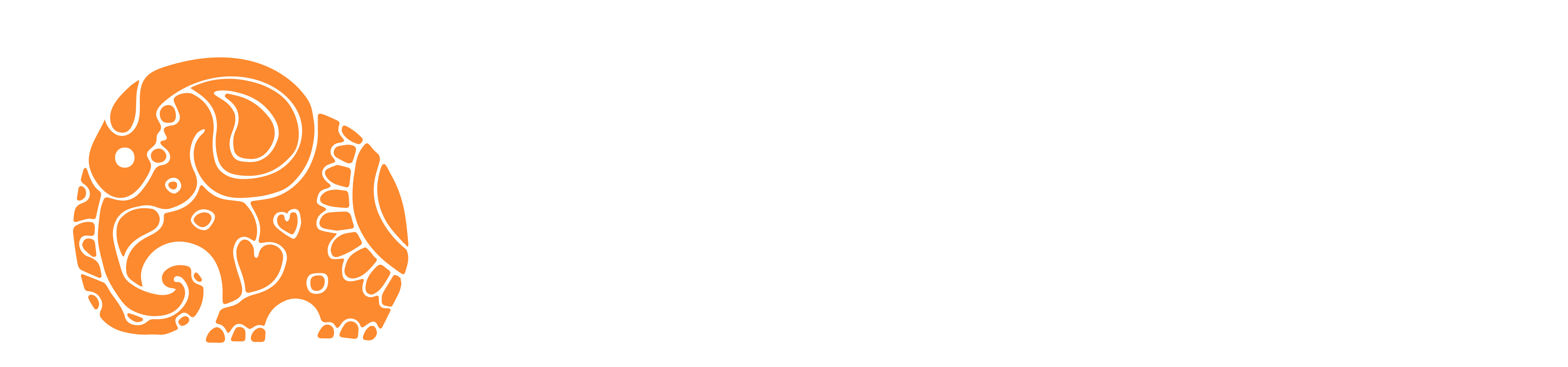 Bhowmik Dave Photography